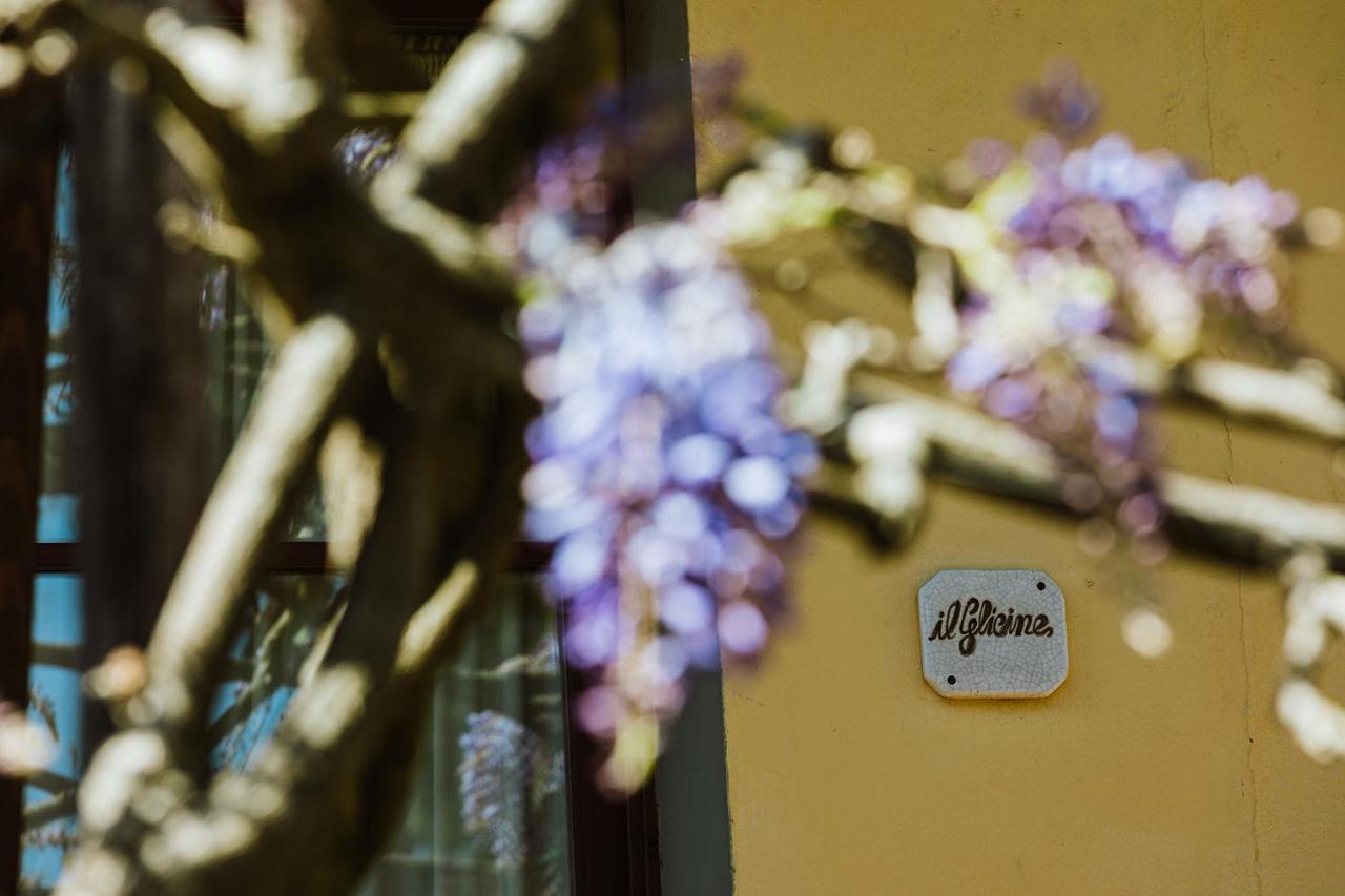 Agriturismo Montalbino Montespertoli Exteriér fotografie